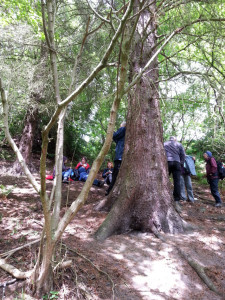 North East members on a recent walk