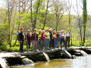 Walking On Tarr Steps
