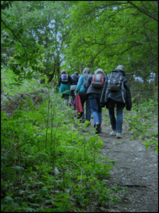East Anglia walkers in the woods