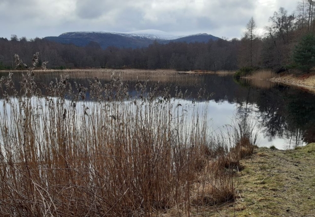 Lochan Mor
