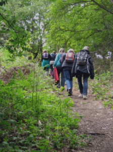 East Anglia walkers in the woods